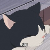[avatar](media:AQADAQADHgtrG8qRmUcACAIAA3YHL-wW____pEsxlxzkxK82BA@telegram)