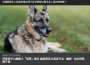 [photo](media:AgACAgEAAx0CPmz7HwABBHmXYM9JMK88EnUSjVGCtGxzIhRofhkAAv6oMRtyQ4BG6bXxznsDAVs2-e5LFwADAQADAgADcwADwxcCAAEfBA@telegram)
