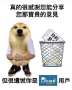 [photo](media:AgACAgEAAx0CPyvoigABBLYZY66L9bPcGnKL4ezl4qWBpsZ35iQAAi6wMRu5gHlFJoI858gE8E4BAAMCAANzAAMtBA@telegram)