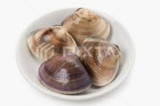 [photo](media:AgACAgUAAx0CPZbPgAABFMmPXrEvP2xLoVlFh826LlnmhO1jMzIAAuCpMRuKlZBV9AOgQGJMuWQy7sFqdAADAQADAgADbQADG5cBAAEZBA@telegram)
