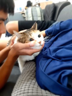[photo](media:AgACAgUAAx0CPZbPgAABFX6pX3K5s34mGCkQrX-WSgO2OHGPA20AAmaqMRuA4JlXP4XxT5zZQ6dONGVrdAADAQADAgADbQADx4YHAAEbBA@telegram)