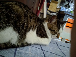 [photo](media:AgACAgUAAx0CPZbPgAABFZmMX5Bk93IomfRcfHliPZTOfgZyE80AAmOqMRsiroFUG3BJWEZLELkKWwJsdAADAQADAgADbQADbs8EAAEbBA@telegram)