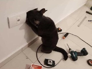 [photo](media:AgACAgUAAx0CPZbPgAABFaTWX5cCeZ00riSVIMp4NphWrDHkUFYAAhmrMRvxkLlUodFz9bqOq0uxJcRsdAADAQADAgADbQADW8gCAAEbBA@telegram)