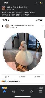 [photo](media:AgACAgUAAx0CPZbPgAABFjJwX_MjPAewAYMHuvnN4e7rcr4KoN0AArWrMRttDJlXadiqP3yYBu0enMBvdAADAQADAgADbQADwrcAAh4E@telegram)