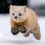 [photo](media:AgACAgUAAx0CPZbPgAABGOAoYb3qcMqgMKs5U_v00WySzcdWLGoAAmetMRsOcfFVJLFwaqMlTg0BAAMCAANzAAMjBA@telegram)