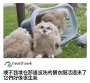 [photo](media:AgACAgUAAx0CPZbPgAABGOtSYc3G7moiIu3EzgOfnXc1WPQHetIAAhGvMRvjo3FWEWSrHU-DJRcBAAMCAANzAAMjBA@telegram)