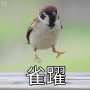 [photo](media:AgACAgUAAx0CPZbPgAABGdZZYxto4r2poEMLK-4tpOWTHeaQmNwAAmG3MRs9V9lUAwQ50Br-gaUBAAMCAANzAAMpBA@telegram)