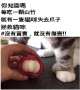 [photo](media:AgACAgUAAx0CPZbPgAABGfoUY2SCee6TNts0I5cRJSdSVsky3GIAAruyMRsZlShXaE0jdqLUzZMBAAMCAANzAAMqBA@telegram)
