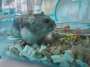 [photo](media:AgACAgUAAx0CPZbPgAABGhZiY8zrSem3Eb3en7eW_oa5pPsFiNUAAuKyMRvls2hWlzZ4jfmYsDoBAAMCAANzAAMtBA@telegram)