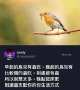[photo](media:AgACAgUAAx0CPZbPgAABGivcZCLFfm99ofMCwdcQubGdRTu1cwkAAl-0MRtQcRhVknzH-KOmBv4BAAMCAANzAAMvBA@telegram)