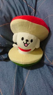 [photo](media:AgACAgUAAx0CPmz7HwABBEvKYJDcjayVH9O6TbPls6M8M0JCbkMAAhOrMRsn8YhUYTB0ibNCKO4G335zdAADAQADAgADbQADq10BAAEfBA@telegram)