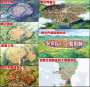 [photo](media:AgACAgUAAx0CPyvoigABA85oYQRIrBaYwnnsMLeQXMiGH0ui8EQAAvutMRv3nyBURQwppuYb0ScBAAMCAANzAAMgBA@telegram)