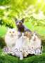 [photo](media:AgACAgUAAx0CPyvoigABBEcJYkXhfRd3WRCuGcDgs6XSSojZ7jkAAhCvMRtrfDFWIsVIxRsPFEMBAAMCAANzAAMjBA@telegram)