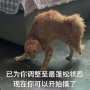 [photo](media:AgACAgUAAx0CQ69l-wABAdgYatTtYFVvQQnrJGjXGZrBZPCv6rEAAjQQaxve_6lWkovMFDFNgHoBAAMCAANzAAM9BA@telegram)