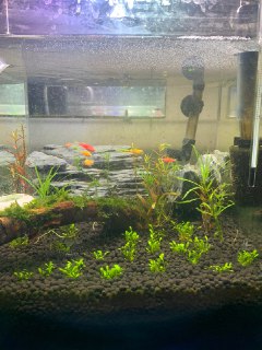 [photo](media:AgACAgUAAx0CQEMBJgABC0BoXmTT0VANm3uJn9bzfcDSEZeXWuIAApCpMRv6yClX-9OK-l9FDTZP82pqdAADAQADAgADbQADFCsBAAEYBA@telegram)