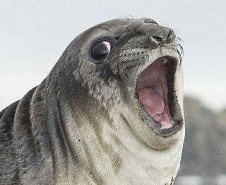 [photo](media:AgACAgUAAx0CQEMBJgABC0L5XmjiJHGx4AJWy2jCWf7SB4DoXe0AAqGpMRvGD0lXPrU-ZWLF6-txQBszAAQBAAMCAANtAANbBwUAARgE@telegram)