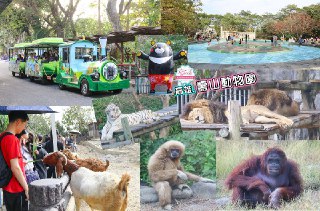 [photo](media:AgACAgUAAx0CQEMBJgABC1C8XnsK67W6Xbj2cOeBV42tww71k7kAAmmqMRv6s9lXOf19H4oifRsbh29qdAADAQADAgADbQADp9UBAAEYBA@telegram)