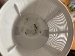 [photo](media:AgACAgUAAx0CQEMBJgABC3CcXrAqmeoj_-VLD8SCZFGPqp-7CQ8AAqSpMRuYS4FVRpfgkumq4f-882pqdAADAQADAgADbQADtpoDAAEZBA@telegram)