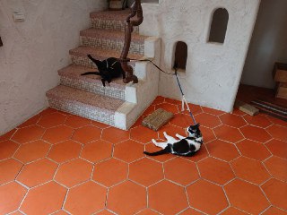 [photo](media:AgACAgUAAx0CQEMBJgABC3IuXrYlxqEf_ESxrOeH3J1jZ4o1EbcAAl-pMRvrgrFVQFK5PBuQl7XhaxprdAADAQADAgADbQADFEMAAhkE@telegram)