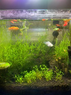 [photo](media:AgACAgUAAx0CQEMBJgABC3c5XsUXAAEIUNTnFdoLTglX7Xatt1gQAAIyqjEbfXIoVqBSzxVCXl4VnjJla3QAAwEAAwIAA20AA_OHAAIZBA@telegram)