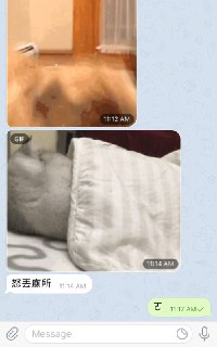 [photo](media:AgACAgUAAx0CQEMBJgABC8jyXwPqF7bdK07tn_-WCXlMbyk_6XgAAlepMRtJRCBUHXuvYN3T5PVBqmNrdAADAQADAgADbQADqyIDAAEaBA@telegram)