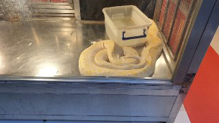 [photo](media:AgACAgUAAx0CQEMBJgABC_VPXyUpZGdFJQri3UbkbQGbP2g1askAAiWqMRuYGShVmZl4au4ZMHKM7cFqdAADAQADAgADbQADKkIGAAEaBA@telegram)