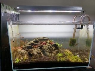 [photo](media:AgACAgUAAx0CQEMBJgABCx0vXjfan7yJXIEwFEcO29WS3DF5k7kAAhKpMRsovMBV4Z71HySAcdljFBszAAQBAAMCAANtAAMblgMAARgE@telegram)