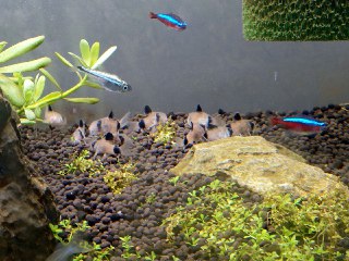 [photo](media:AgACAgUAAx0CQEMBJgABCx0yXjfbFFVm6NOM4ZosWuKuxXwEza0AAhqpMRsovMBVRu65sJba0KUQsCUzAAQBAAMCAANtAAM_BAMAARgE@telegram)