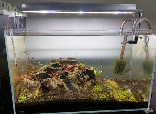 [photo](media:AgACAgUAAx0CQEMBJgABCx2BXjfuzdKHRVKoIZlaWGW7-eBUFIgAAqepMRu6ccFVbHuzchNqllGNNBszAAQBAAMCAANtAAN5kwMAARgE@telegram)