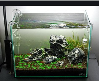 [photo](media:AgACAgUAAx0CQEMBJgABCx50XjhDVTOgBug-nixQAAGvyhqIm8ohAAJSqTEbKLzAVfPmIxbKAAFAtR7BJTMABAEAAwIAA20AA84JAwABGAQ@telegram)