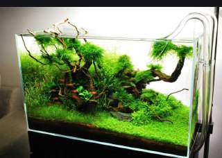 [photo](media:AgACAgUAAx0CQEMBJgABCx5rXjhDBi0a0NbIvEqCqx-mg8-eM5AAAtKpMRu6ccFVHtONR8MYVvN-tyUzAAQBAAMCAANtAAP7BwMAARgE@telegram)