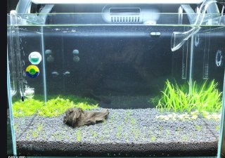 [photo](media:AgACAgUAAx0CQEMBJgABCx5vXjhDGEzIf2NNXRDNY4PWMmM-cQMAAlGpMRsovMBV7WgESxunbjyGFxszAAQBAAMCAANtAAP-mwMAARgE@telegram)