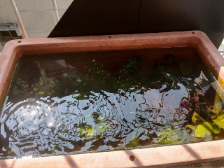 [photo](media:AgACAgUAAx0CQEMBJgABCx6aXjjmQoZTmFwxXPIvJ4gRAfCvRH4AAnSpMRvHnMhVcIXTsiu-NS0fORszAAQBAAMCAANtAAMgmgMAARgE@telegram)