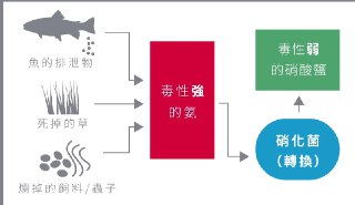 [photo](media:AgACAgUAAx0CQEMBJgABCx7eXjjvCKYGlHhkQP8QK-SJULDzaoEAAhCqMRscWchVfSwWEv3mznOPsSUzAAQBAAMCAANtAANIDAMAARgE@telegram)