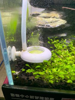 [photo](media:AgACAgUAAx0CQEMBJgABCxpnXjLS4etYTcfv8PMyomsfk1uQ5SIAAoKpMRvMSpBVrYldMPMSOntAsCUzAAQBAAMCAANtAAOX2wIAARgE@telegram)