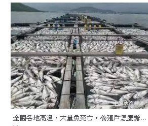 [photo](media:AgACAgUAAx0CQEMBJgABCxufXjVpFjoTZBx8nL7LrCV1SFXjOFgAAo6pMRuxnqlV48tugY0ONVkwriUzAAQBAAMCAANtAAMu6wIAARgE@telegram)