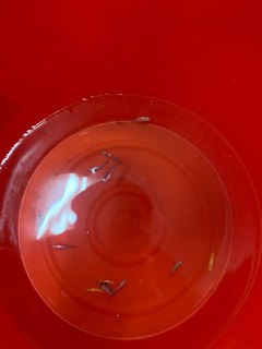 [photo](media:AgACAgUAAx0CQEMBJgABCxxEXjY7ayjrgTg9D4z8AAGxuwem9ex1AAJBqjEbsZ6xVXqJjrQPJZhb2CIbMwAEAQADAgADbQADOYYDAAEYBA@telegram)