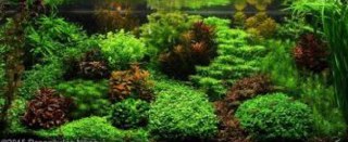 [photo](media:AgACAgUAAx0CQEMBJgABCy-2XlJLAAEIzeZjOnN4WSN8ogKsthCyAAI1qTEbCZGQVqMF3knV9gkyrKclMwAEAQADAgADbQADO8oDAAEYBA@telegram)