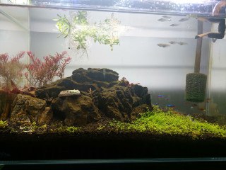 [photo](media:AgACAgUAAx0CQEMBJgABCy27XlEtd7rkyBMZ0adLaN19l5u2IkQAArWpMRshh4hWgNzyW3-Js3hQFRszAAQBAAMCAANtAAOeWAQAARgE@telegram)