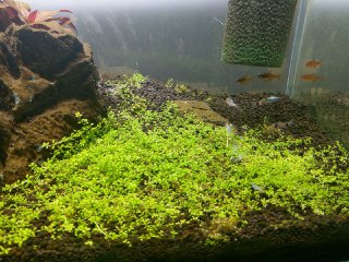 [photo](media:AgACAgUAAx0CQEMBJgABCy2jXlEa94-Duj-JpVT2VNhA676LGbIAAmmpMRsJkYhWxrMY-PfBHDnXAW5qdAADAQADAgADbQAD5pcAAhgE@telegram)