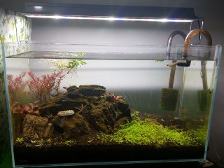 [photo](media:AgACAgUAAx0CQEMBJgABCy2kXlEa931EzmyyVwQgmkqPGK-bLlkAAmqpMRsJkYhWPGFREIaZ9_ntERszAAQBAAMCAANtAARWBAABGAQ@telegram)