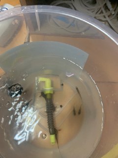 [photo](media:AgACAgUAAx0CQEMBJgABCy55XlE399Kuo9oe4CyREooyf6IVyJAAAoapMRv0UYlW-F6rybax3C4gIBszAAQBAAMCAANtAAPkVgQAARgE@telegram)