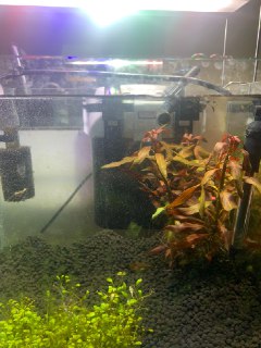 [photo](media:AgACAgUAAx0CQEMBJgABCy6XXlE47ak562iQ1KCMXzfyHn0F-qIAAn-pMRsJkYhWg9YVanFgkXVfMhszAAQBAAMCAANtAAOAWQQAARgE@telegram)