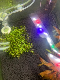 [photo](media:AgACAgUAAx0CQEMBJgABCy7SXlE7N-JKSl9VoO-0gfGUCAPyPkcAAoOpMRsJkYhWoJ98l44HzbM5IBszAAQBAAMCAANtAAPBVAQAARgE@telegram)