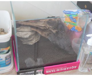 [photo](media:AgACAgUAAx0CQEMBJgABCy84XlFdsY2Fyk3sAAFraYo1o1JCFmTDAAKLqTEb9FGJVmqFCOngvMHnsqglMwAEAQADAgADbQADvcYDAAEYBA@telegram)