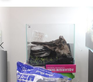 [photo](media:AgACAgUAAx0CQEMBJgABCy86XlFdylPdvrFONS1XBHl2pHavM2gAAgepMRsJkZBWdrewWwaIcQWQNRszAAQBAAMCAANtAAPBWAQAARgE@telegram)