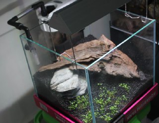 [photo](media:AgACAgUAAx0CQEMBJgABCy89XlFd20h_Que1kd9gKbxSmO2KGeAAAsCpMRshh4hWkSbiz4BX13xitSUzAAQBAAMCAANtAANlygMAARgE@telegram)