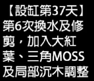 [photo](media:AgACAgUAAx0CQEMBJgABCy8vXlFakXsTJ0xYRvaOCfnHcHfS0n4AAgapMRsJkZBWgLwv71d61NtkHhszAAQBAAMCAANtAAPaVQQAARgE@telegram)