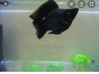 [photo](media:AgACAgUAAx0CQEMBJgABCyJ-Xj2Ct61_LKm8vY6wy--txEDjbU4AAtytMRuZU_FV-C1glito65NfPBszAAQBAAMCAANtAAMlzAMAARgE@telegram)