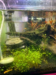 [photo](media:AgACAgUAAx0CQEMBJgABCyUhXkK8QjCiL6SzVQsUTtVoanxmM6cAAiWpMRs1ixhWditvp8CeiIF7rCUzAAQBAAMCAANtAANhVAMAARgE@telegram)